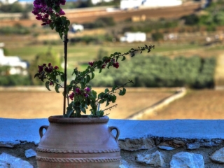 paros luxury villas